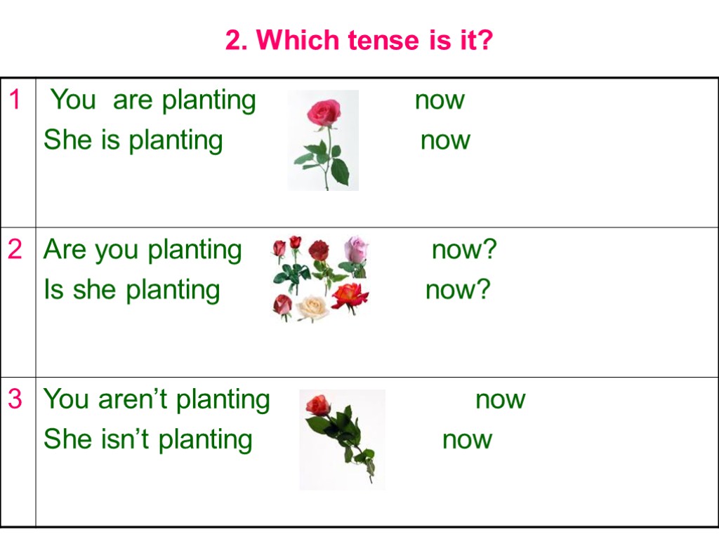 2. Which tense is it?